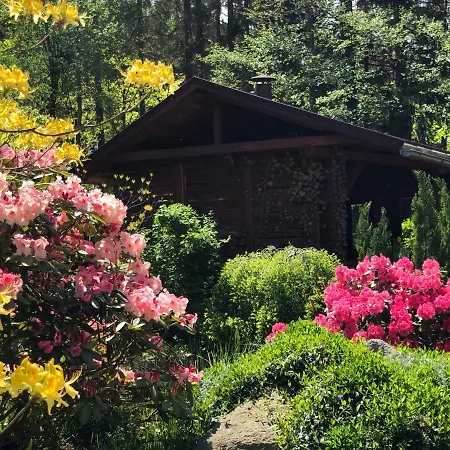 Luna Cisza Spokoj Sniadania Szybki Internet Smart Tv