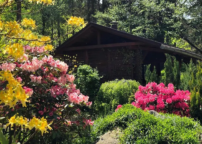 Luna Cisza Spokoj Sniadania Szybki Internet Smart Tv